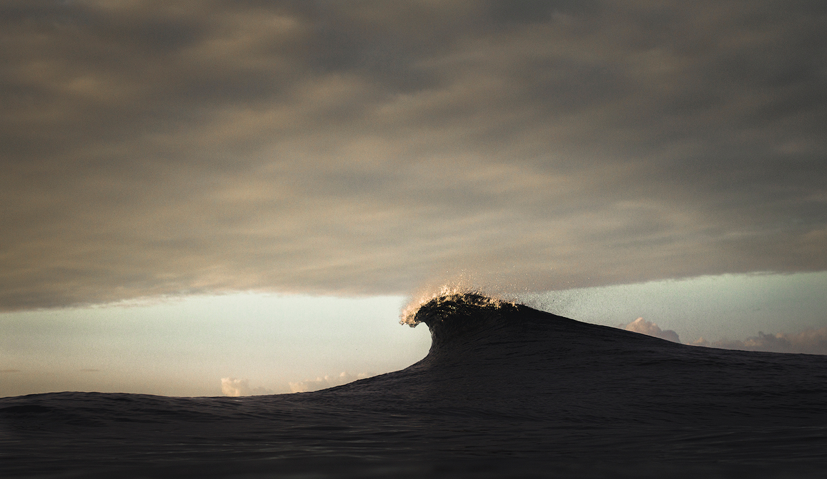 Photo: Kyle Jenkinson