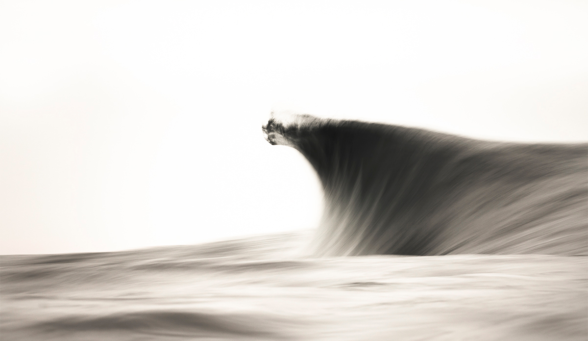 Photo: Kyle Jenkinson