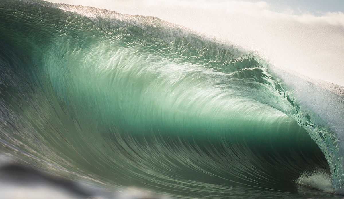 Photo: Kyle Jenkinson