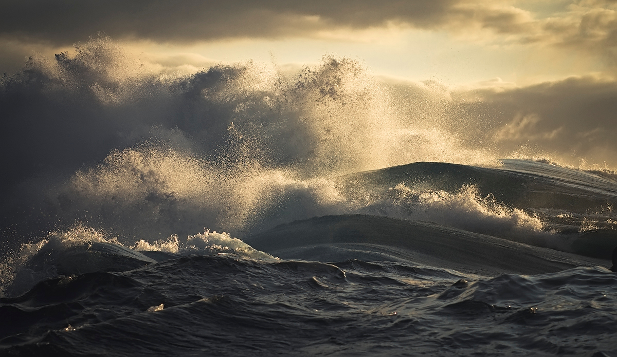 Photo: Kyle Jenkinson