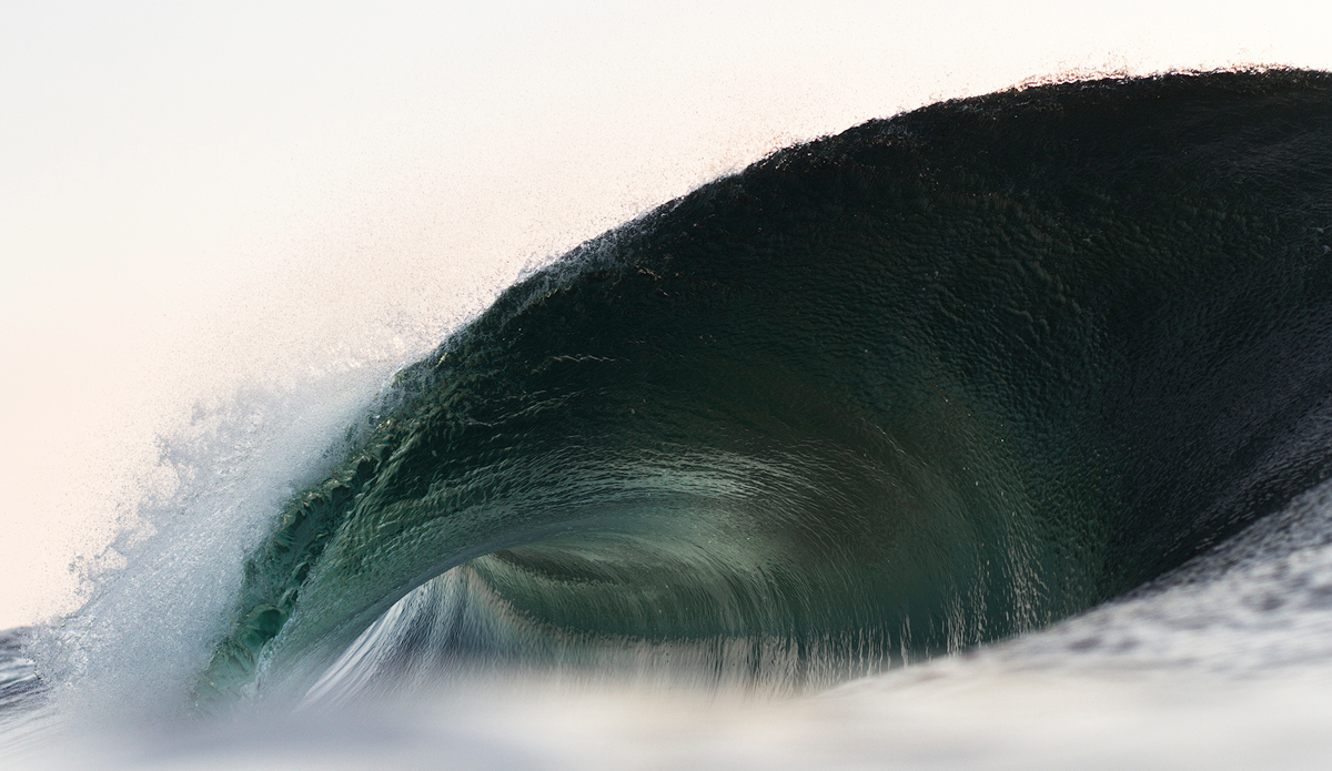 Photo: Kyle Jenkinson