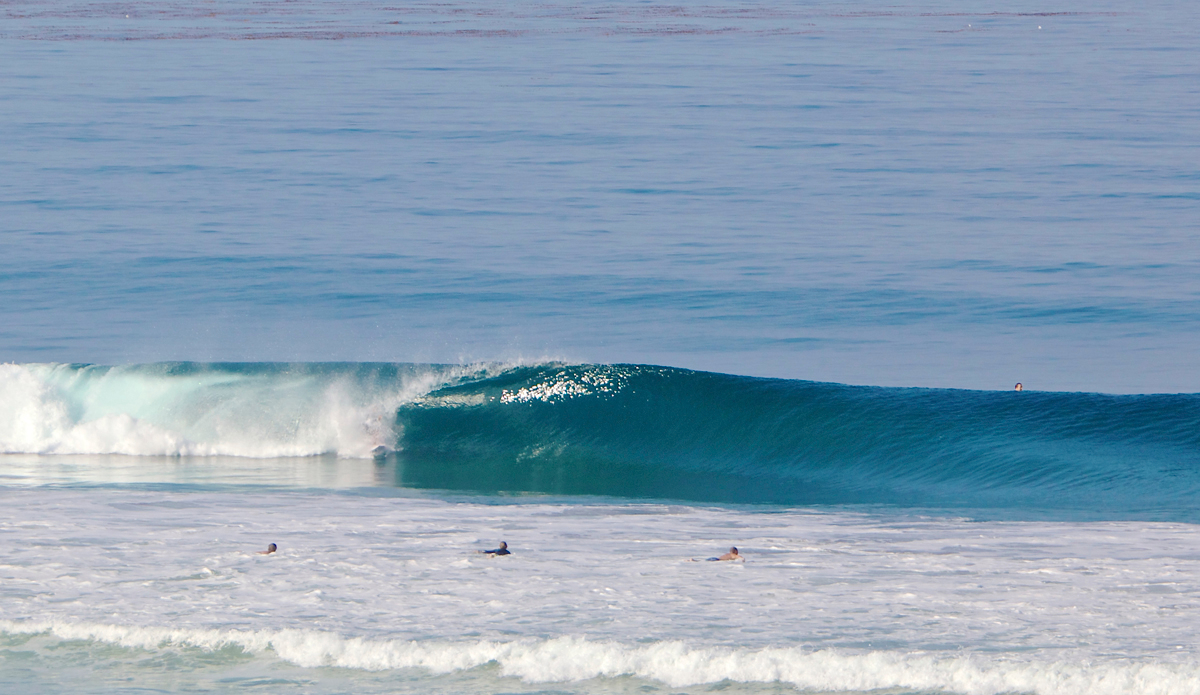 Double up dodger. Photo: <a href=\"https://instagram.com/mfarkas\">Michael Farkas</a>