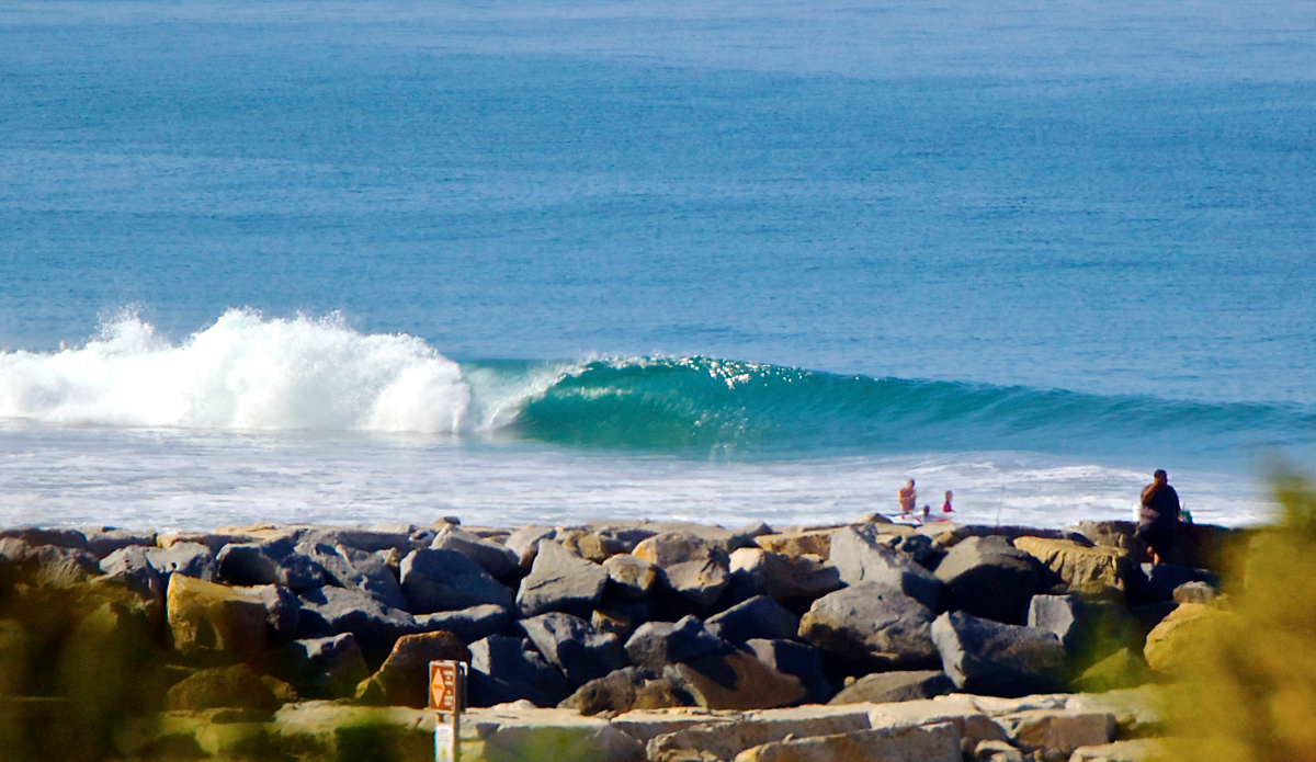 Jetty peeler. Photo: <a href=\"https://instagram.com/mfarkas\">Michael Farkas</a>