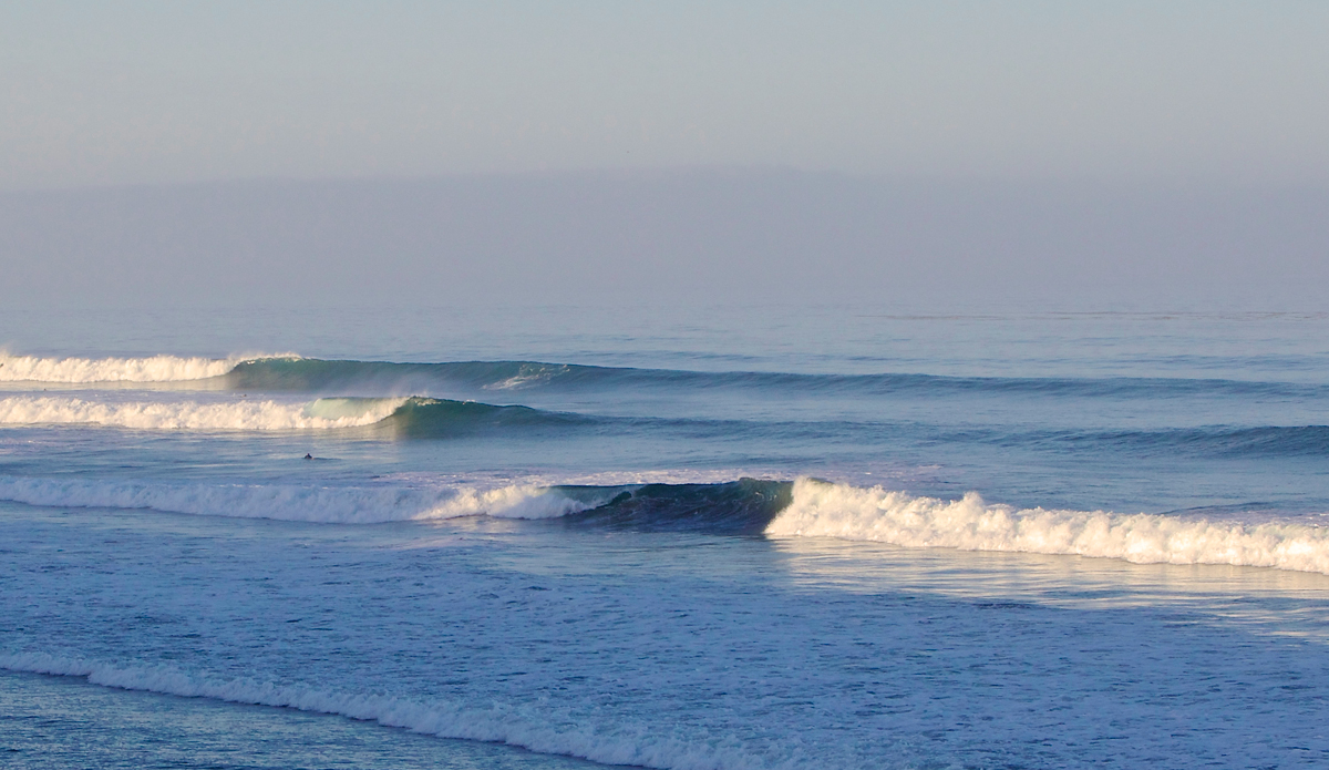 California dreaming. Photo: <a href=\"https://instagram.com/mfarkas\">Michael Farkas</a>