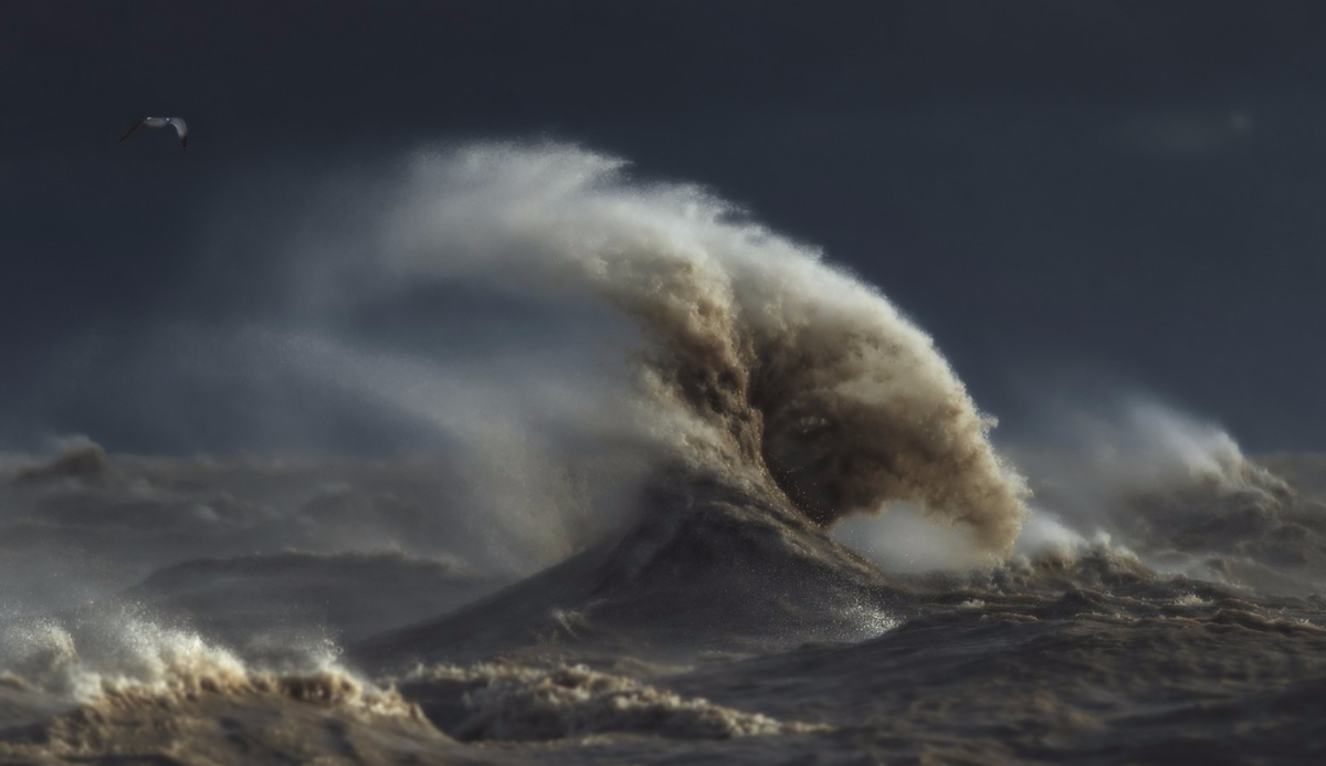 Photo: <a href=\"https://www.davesandfordphotos.com/\">Dave Sandford</a>