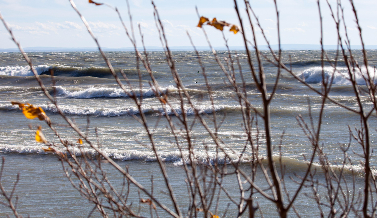 Late-fall waves. Photo: Lucas Murnaghan