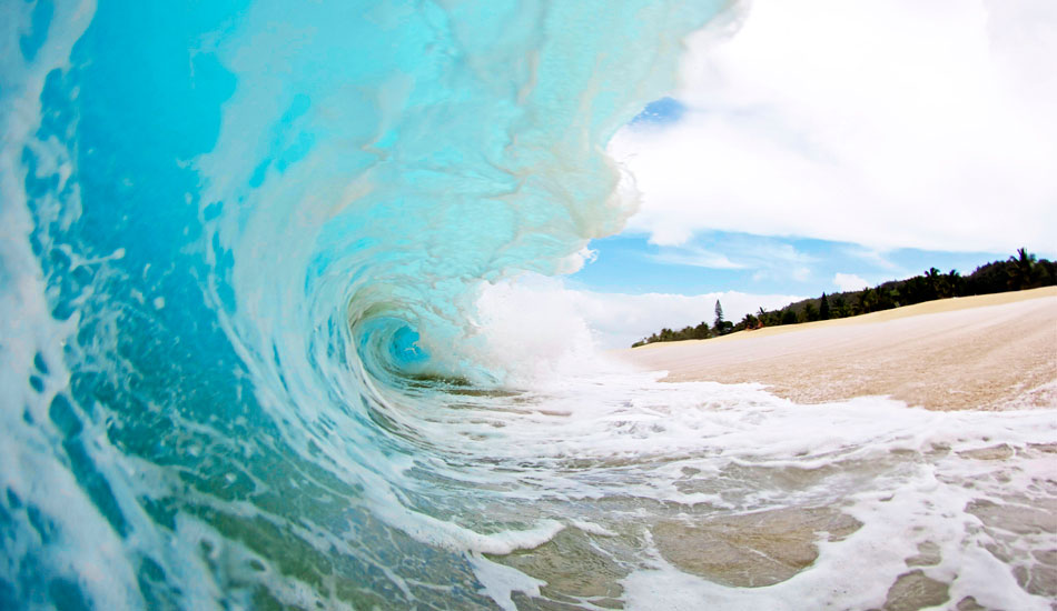 Blue Electric. Image: <a href=\"https://www.laserwolfphoto.com/\" target=\"_blank\">Laserwolf</a>