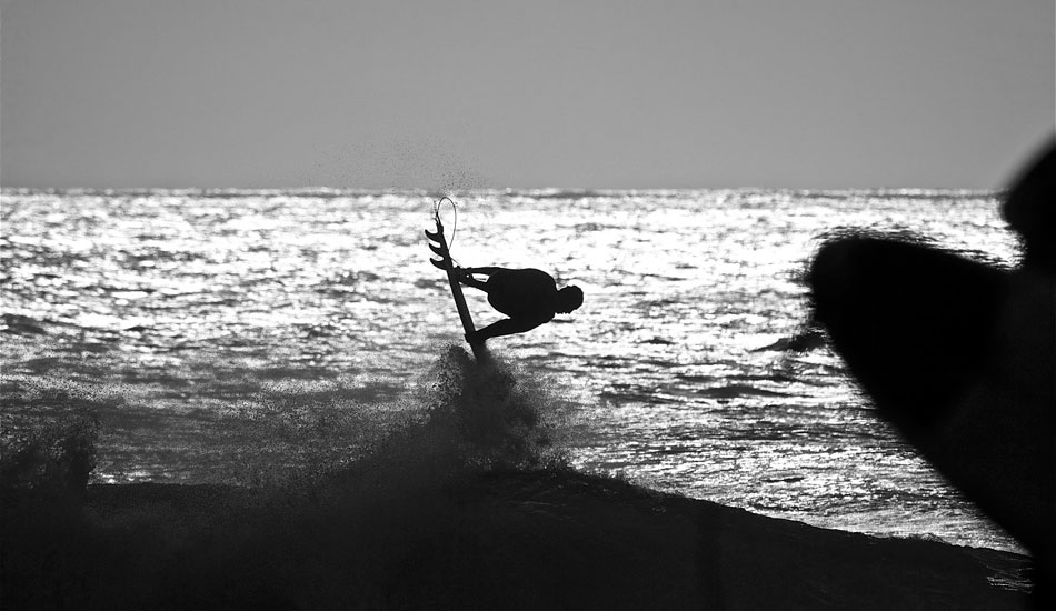 Flynn. Image: <a href=\"https://www.laserwolfphoto.com/\" target=\"_blank\">Laserwolf</a>