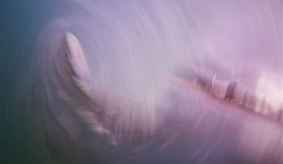 Purple Haze. Image: <a href=\"https://www.laserwolfphoto.com/\" target=\"_blank\">Laserwolf</a>