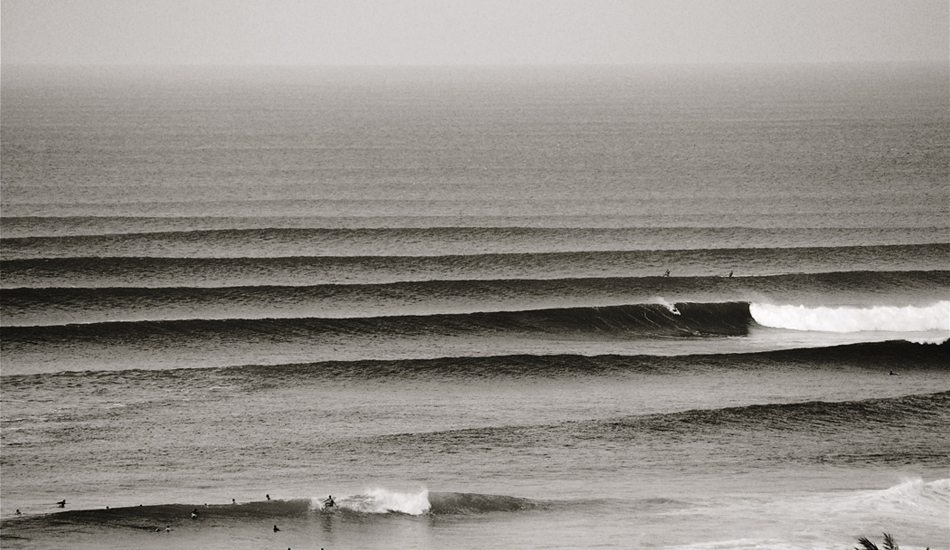 Your favorite corduroy. Image: <a href=\"https://www.laserwolfphoto.com/\" target=\"_blank\">Laserwolf</a>