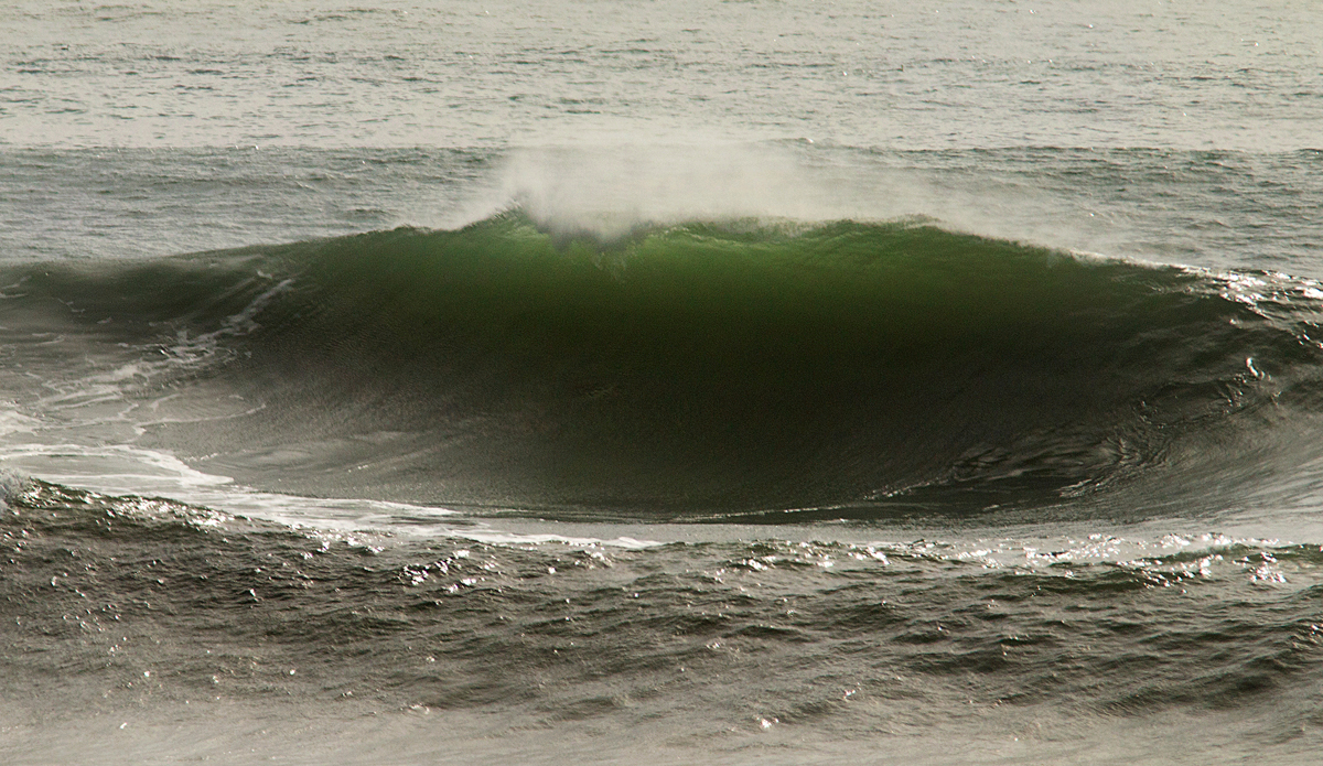 Photo: <a href=\"https://www.pedrobalaphotography.com/\">Pedro Bala</a>