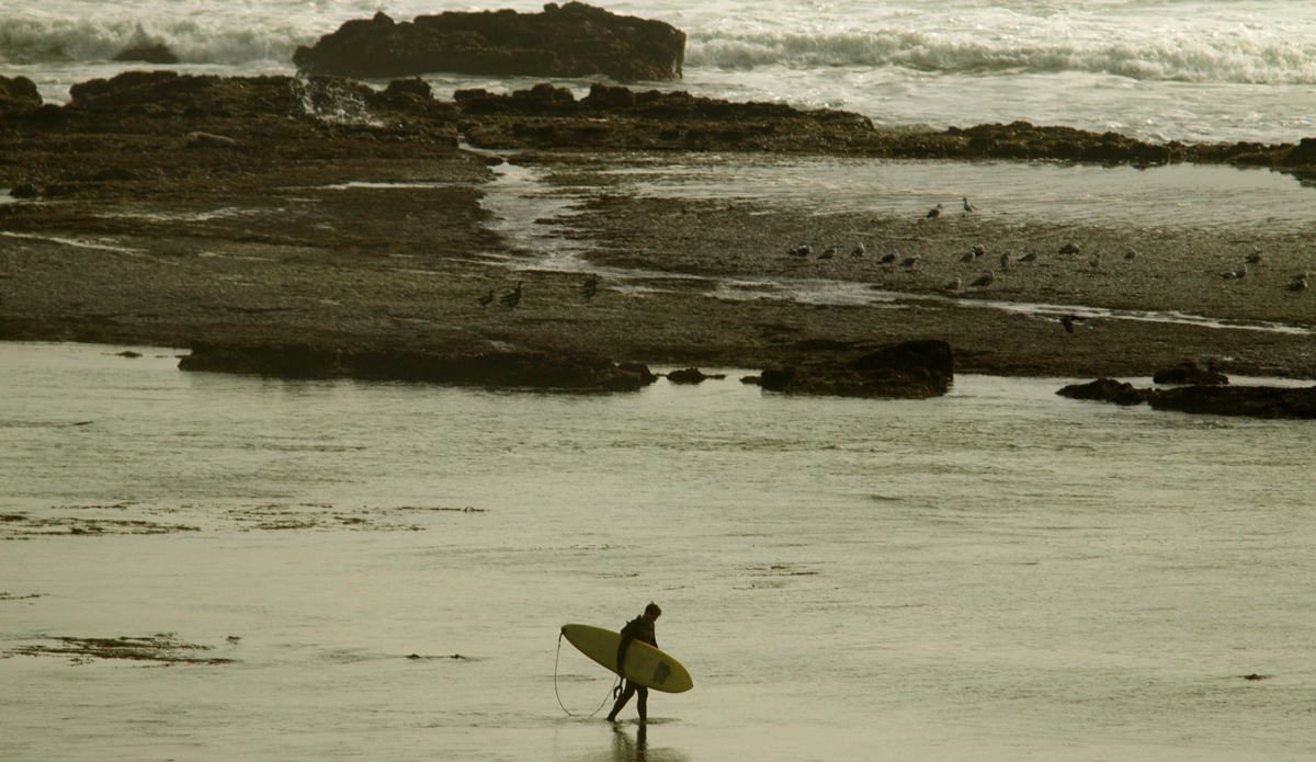 Photo: <a href=\"https://www.pedrobalaphotography.com/\">Pedro Bala</a>