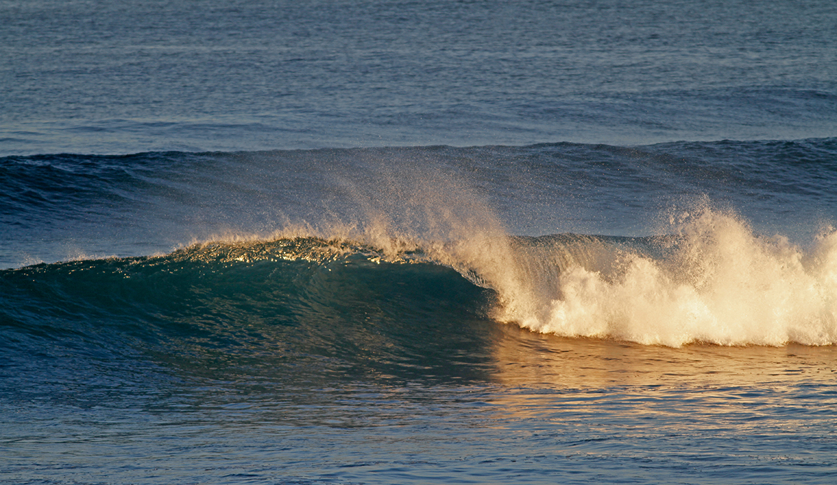 Photo: Laura Bañuelos / @sidrisima