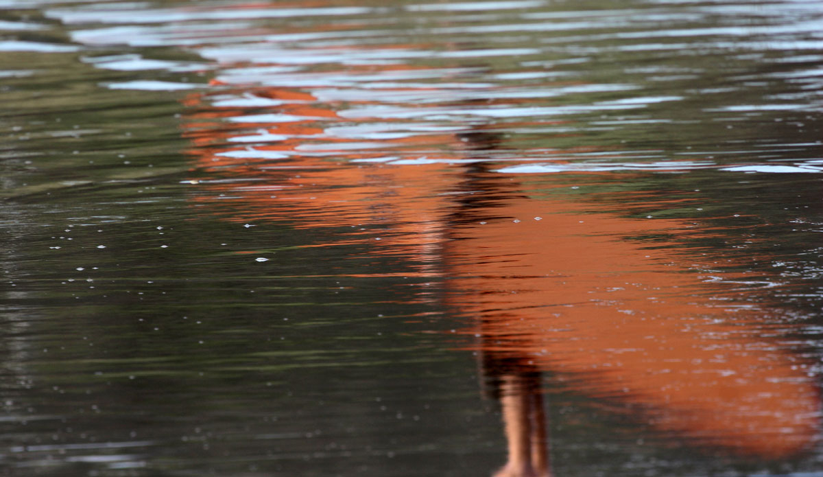 Photo: <a href=\"https://instagram.com/sidrisima\">Laura Sidrisima</a>