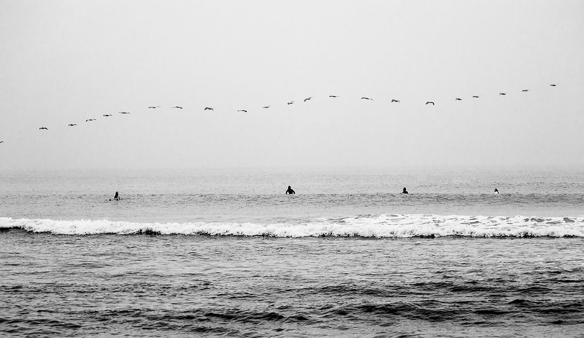 Photo: <a href=\"https://surfimagery.4ormat.com/\"> Laurent Chantegros</a>