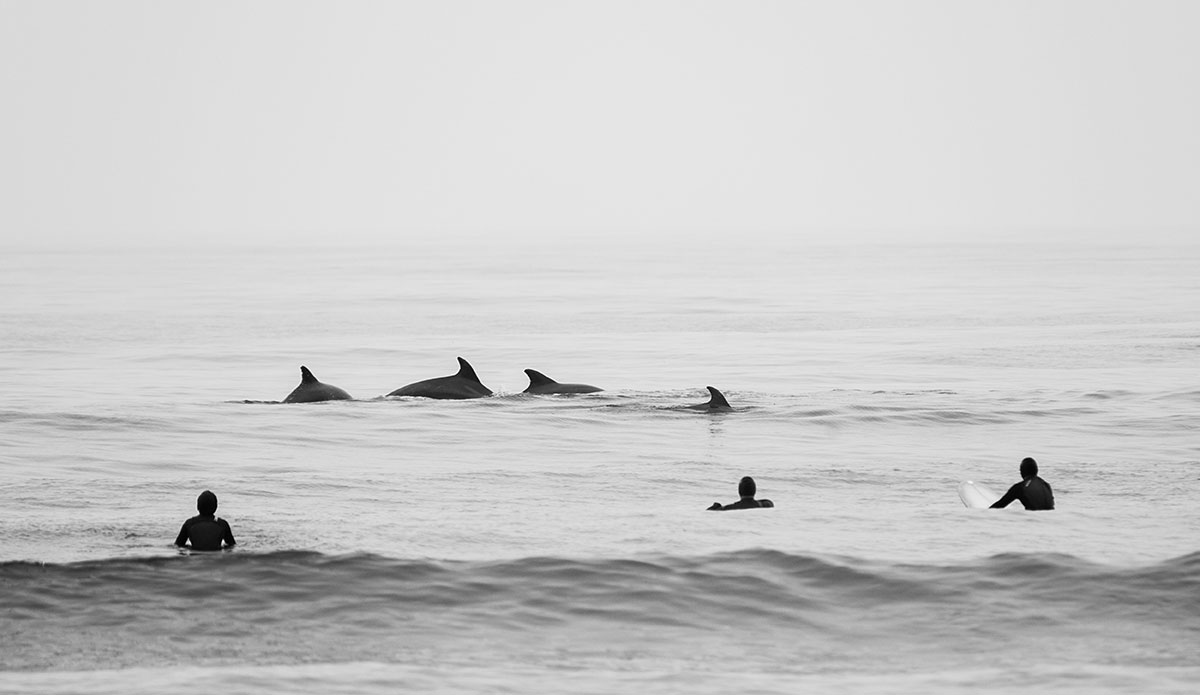 Photo: <a href=\"https://surfimagery.4ormat.com/\"> Laurent Chantegros</a>