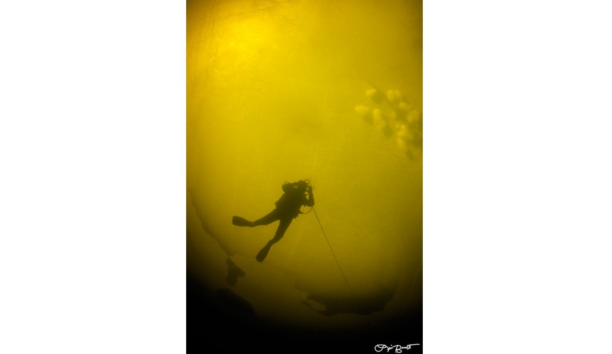 My safety diver Nina Tieder silhouetted against the ice. Photo: <a href=\"https://liabarrettphotography.com/\" target=_blank>Lia Barrett</a>