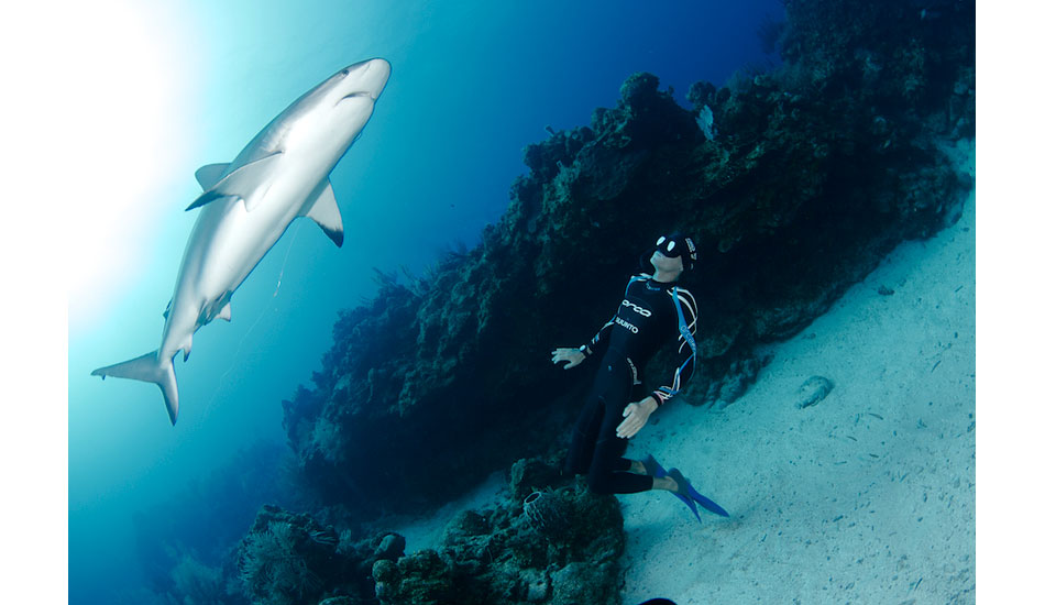 William Trubridge soaks in a moment as a reef shark passes over him off of Roatan, Honduras. Photo: <a href=\"https://liabarrettphotography.com/\" target=_blank>Lia Barrett</a>