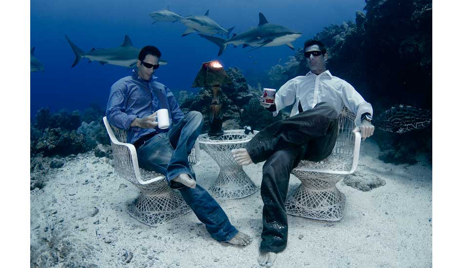 Freedivers sit back for a fun approach to coexistence with sharks. Photo: <a href=\"https://liabarrettphotography.com/\" target=_blank>Lia Barrett</a>