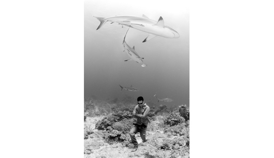 Exemplifying his respect for his comrades in the sea, freediver Walid Boudhiaf walks among the Caribbean reef sharks as a mark of mutual existence. Photo: <a href=\"https://liabarrettphotography.com/\" target=_blank>Lia Barrett</a>
