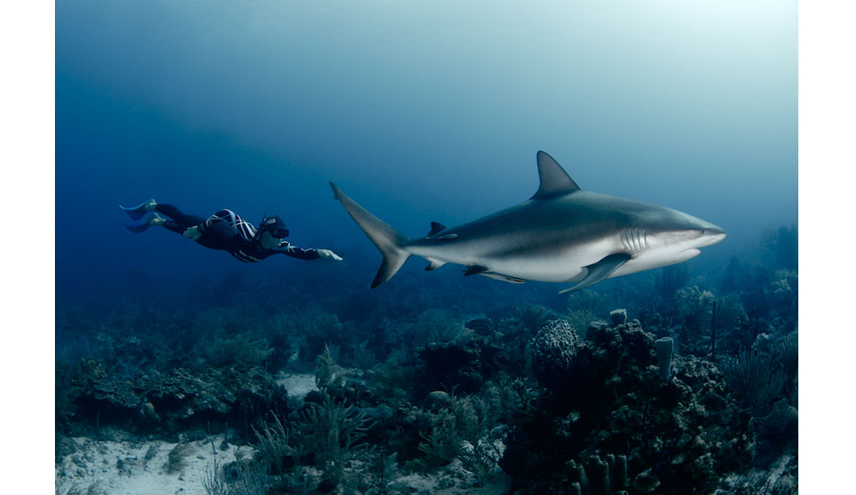 Freediving world record holder and World Champion William Trubridge channels the streamline movement of the Caribbean reef shark off of Roatan, Honduras. Photo: <a href=\"https://liabarrettphotography.com/\" target=_blank>Lia Barrett</a>