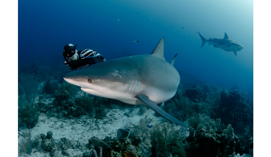 William Trubridge and an intimate encounter with a Caribbean reef shark. Photo: <a href=\"https://liabarrettphotography.com/\" target=_blank>Lia Barrett</a>
