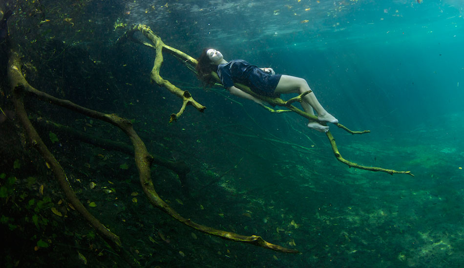 Freediver Camila Jaber resting on a tree branch in Car Wash. Photo: <a href=\"https://liabarrettphotography.com/\" target=_blank>Lia Barrett</a>