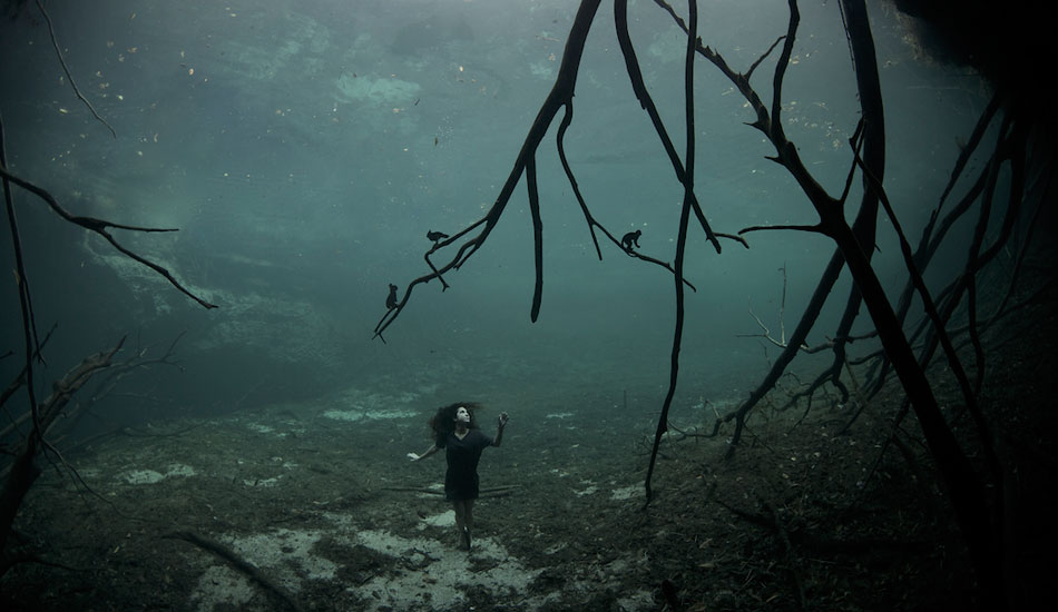 Camila about to enter the dark woodland forest. Photo: <a href=\"https://liabarrettphotography.com/\" target=_blank>Lia Barrett</a>