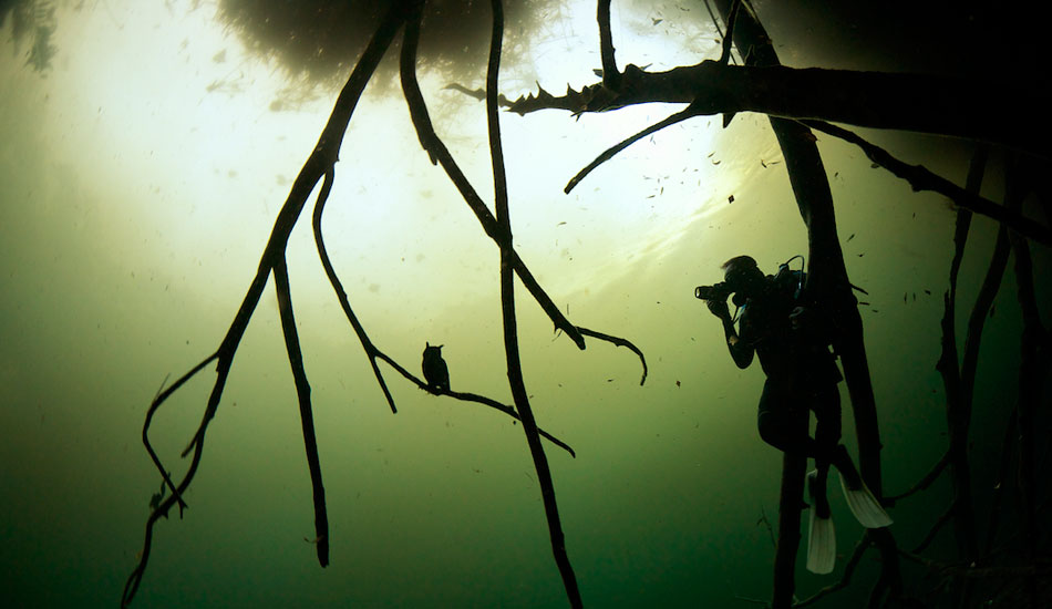 Writer and dive buddy Adam Skolnick scoping out an owl with a flooded camera. Photo: <a href=\"https://liabarrettphotography.com/\" target=_blank>Lia Barrett</a>