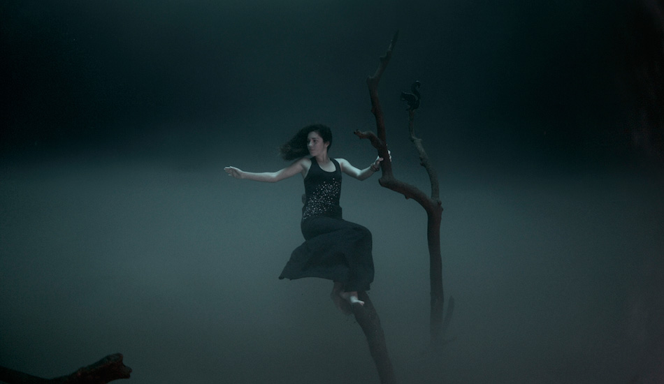 Camila finding refuge in a branch just above the false bottom of Angelita cenote. Photo: <a href=\"https://liabarrettphotography.com/\" target=_blank>Lia Barrett</a>