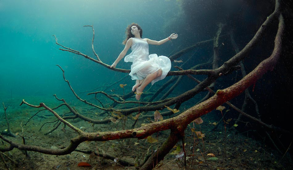 We learned that freedivers make really great underwater tree fairies. Photo: <a href=\"https://liabarrettphotography.com/\" target=_blank>Lia Barrett</a>