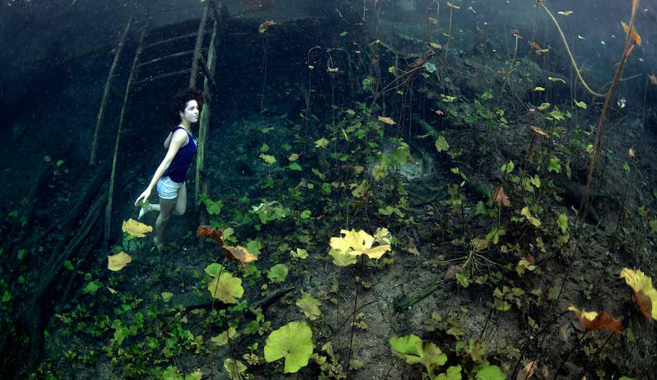 The lily garden in fall. Photo: <a href=\"https://liabarrettphotography.com/\" target=_blank>Lia Barrett</a>