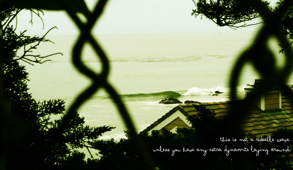 Take your chances? Photo: <a href=\"https://janospalko.com/\" target=_blank>Janos Palko</a>