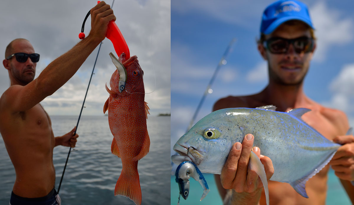 Photo: <a href=\"https://lostintheswell.com/\"> Lost in the Swell</a>