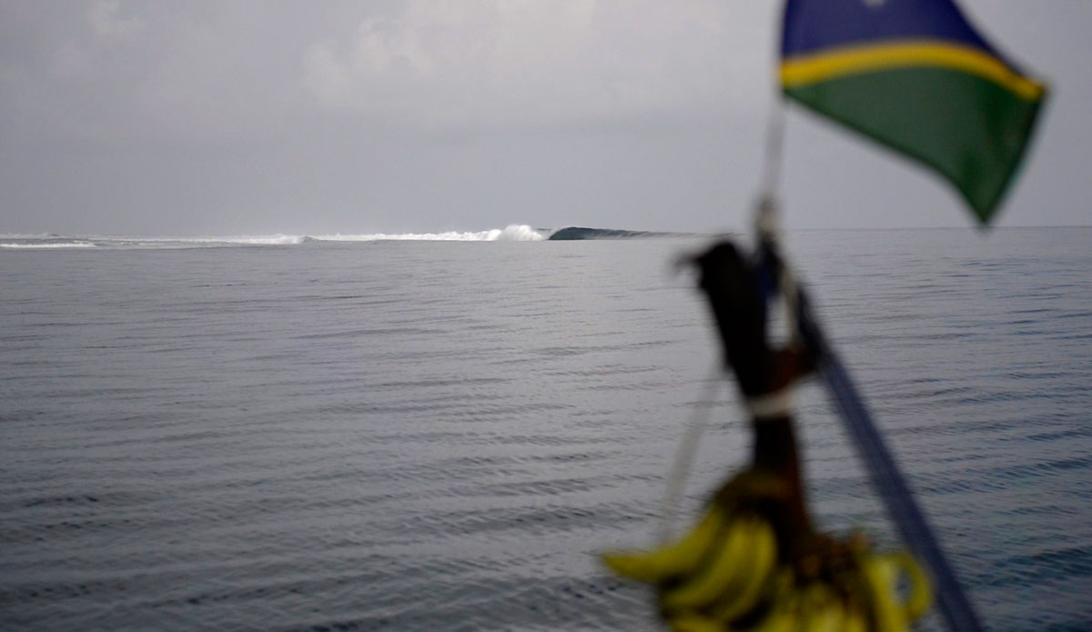 Photo: <a href=\"https://lostintheswell.com/\"> Lost in the Swell</a>