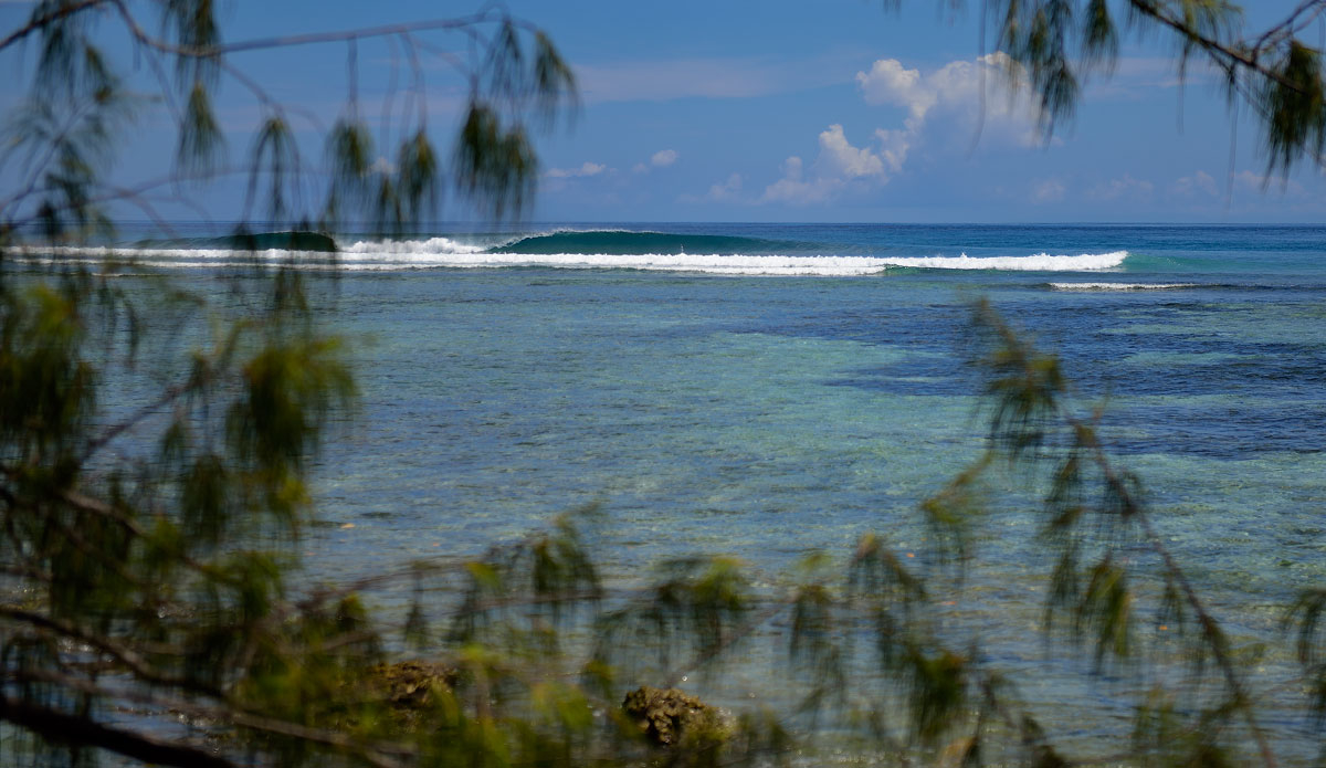 Photo: <a href=\"https://lostintheswell.com/\"> Lost in the Swell</a>