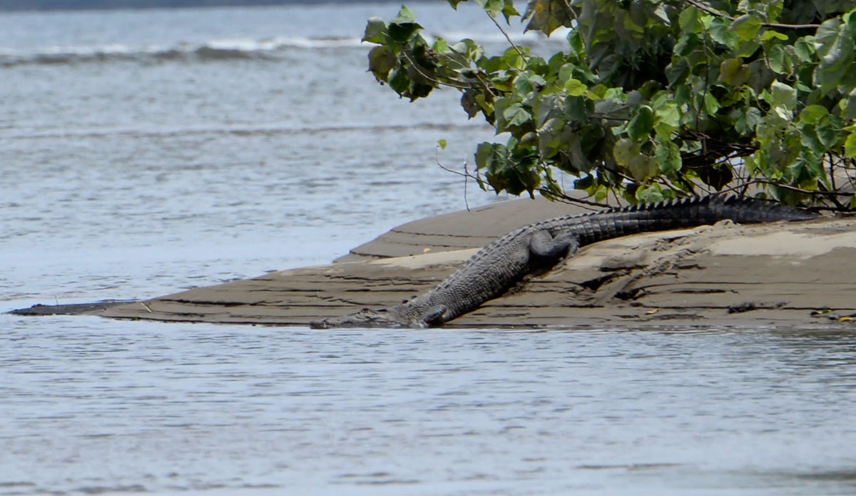 Photo: <a href=\"https://lostintheswell.com/\"> Lost in the Swell</a>