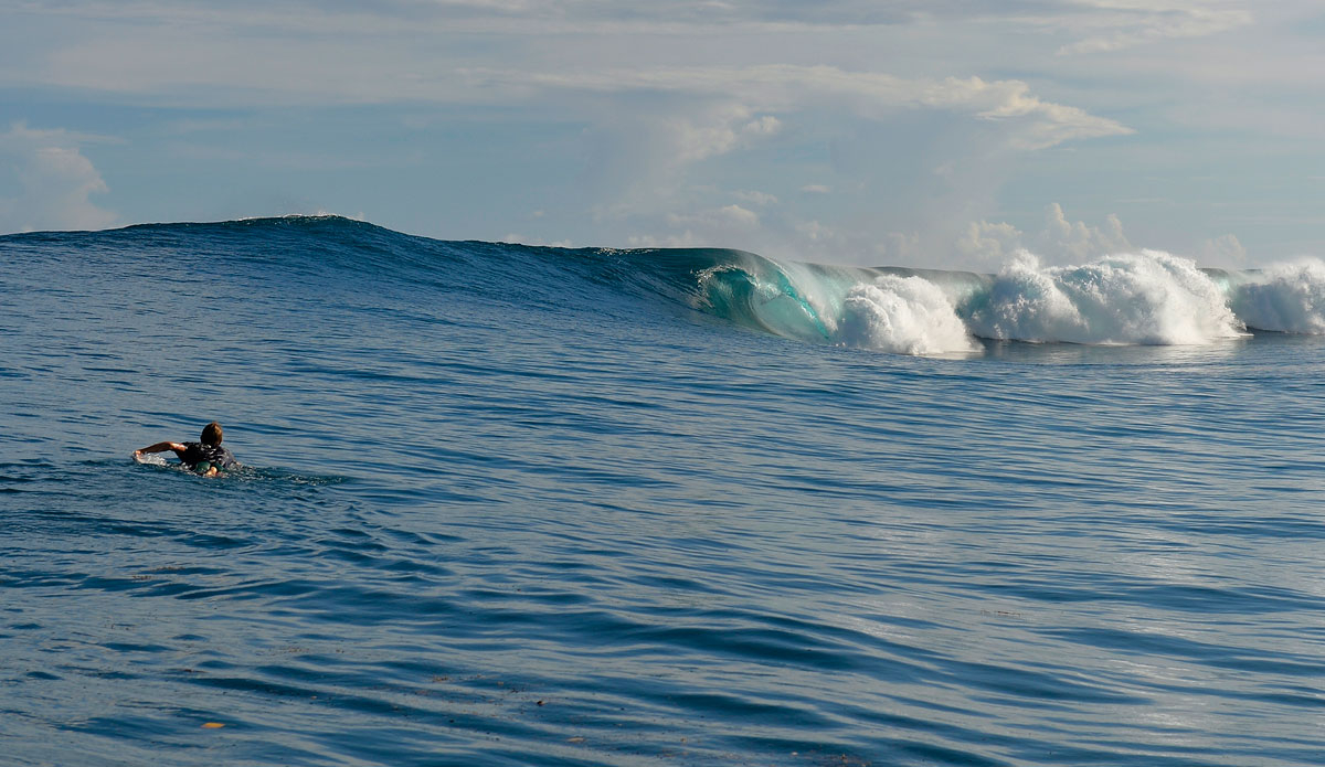 Photo: <a href=\"https://lostintheswell.com/\"> Lost in the Swell</a>