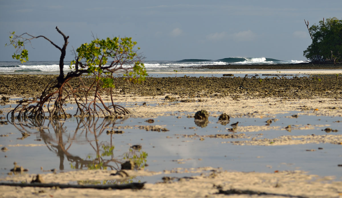 Photo: <a href=\"https://lostintheswell.com/\"> Lost in the Swell</a>