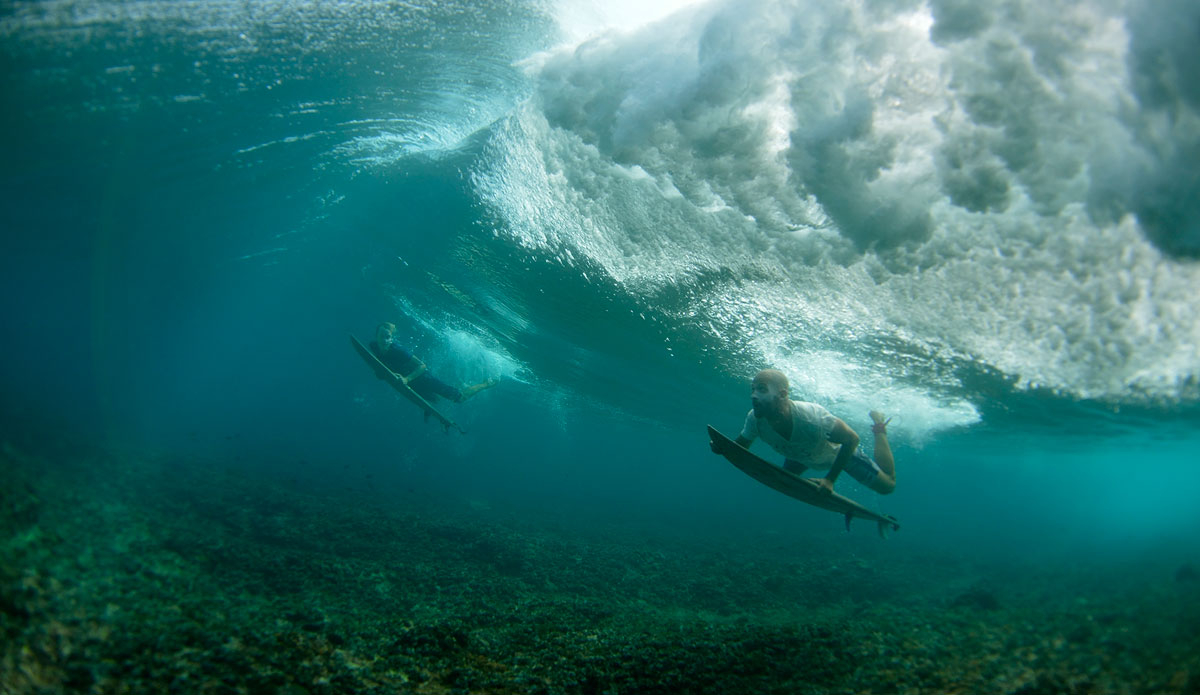 Photo: <a href=\"https://lostintheswell.com/\"> Lost in the Swell</a>