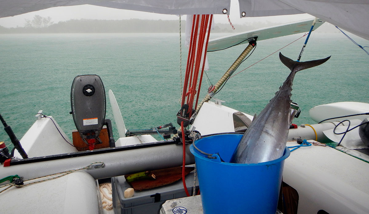 Photo: <a href=\"https://lostintheswell.com/\"> Lost in the Swell</a>