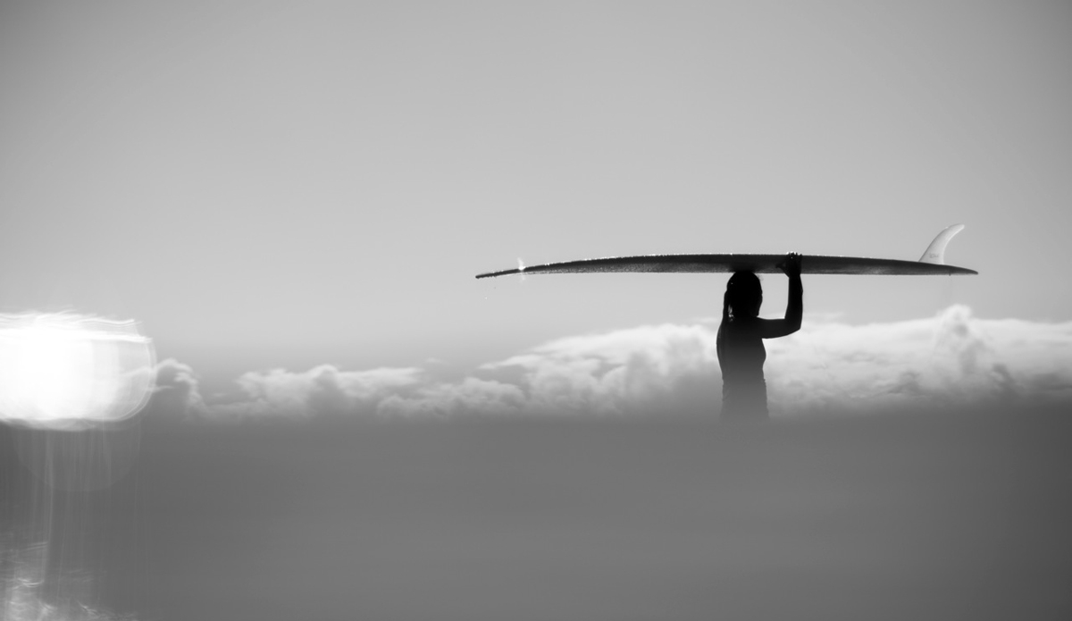 Solo walks back up the points. Photo: <a href=\"https://www.kanebrownphoto.com/#1\">Kane Brown</a>