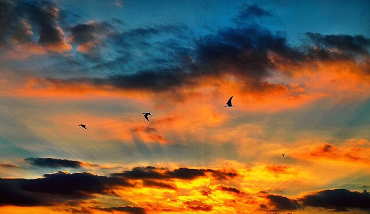 Photo: <a href=\"https://captainbroshan.tumblr.com/\">Brian Shannon</a>