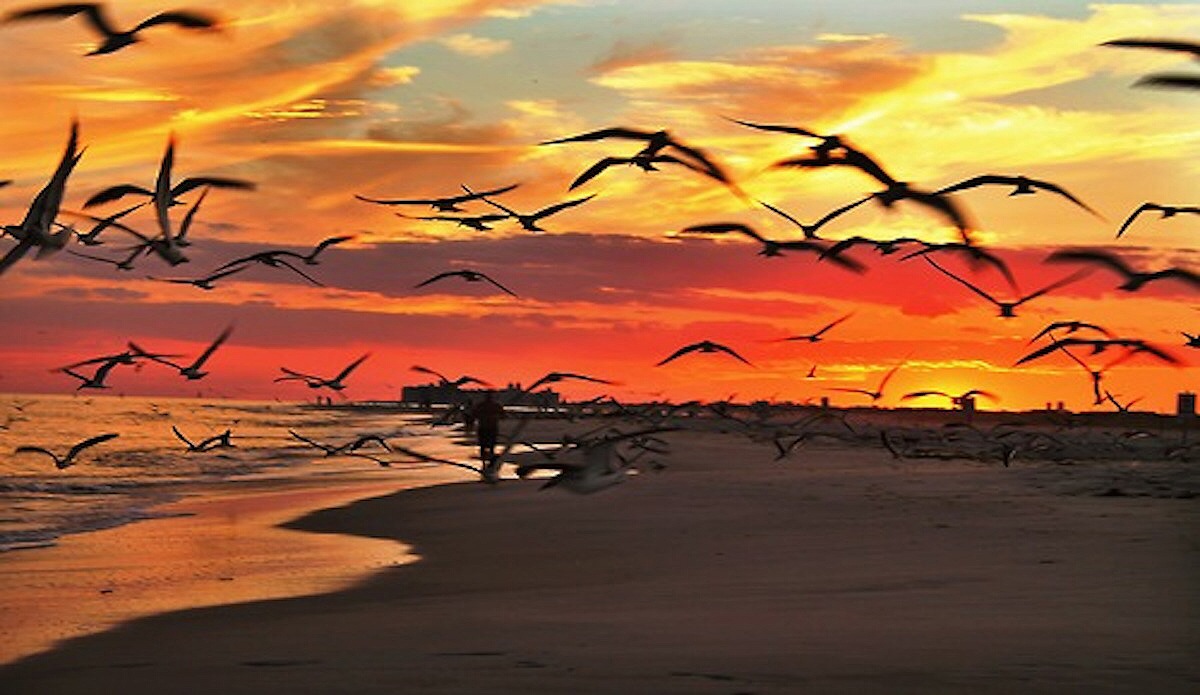 Photo: <a href=\"https://captainbroshan.tumblr.com/\">Brian Shannon</a>