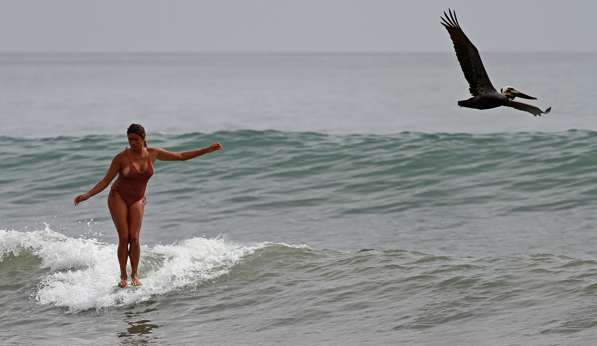 Photo: Laura Bañuelos // @sidrisima