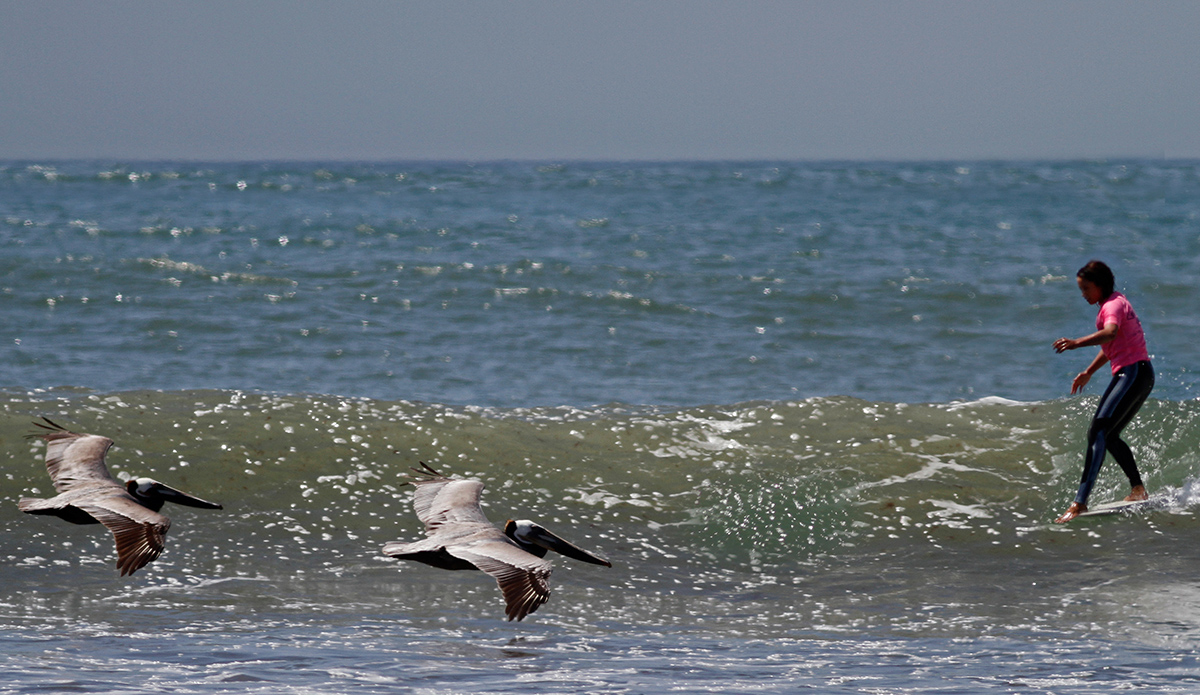 Photo: Laura Bañuelos // @sidrisima