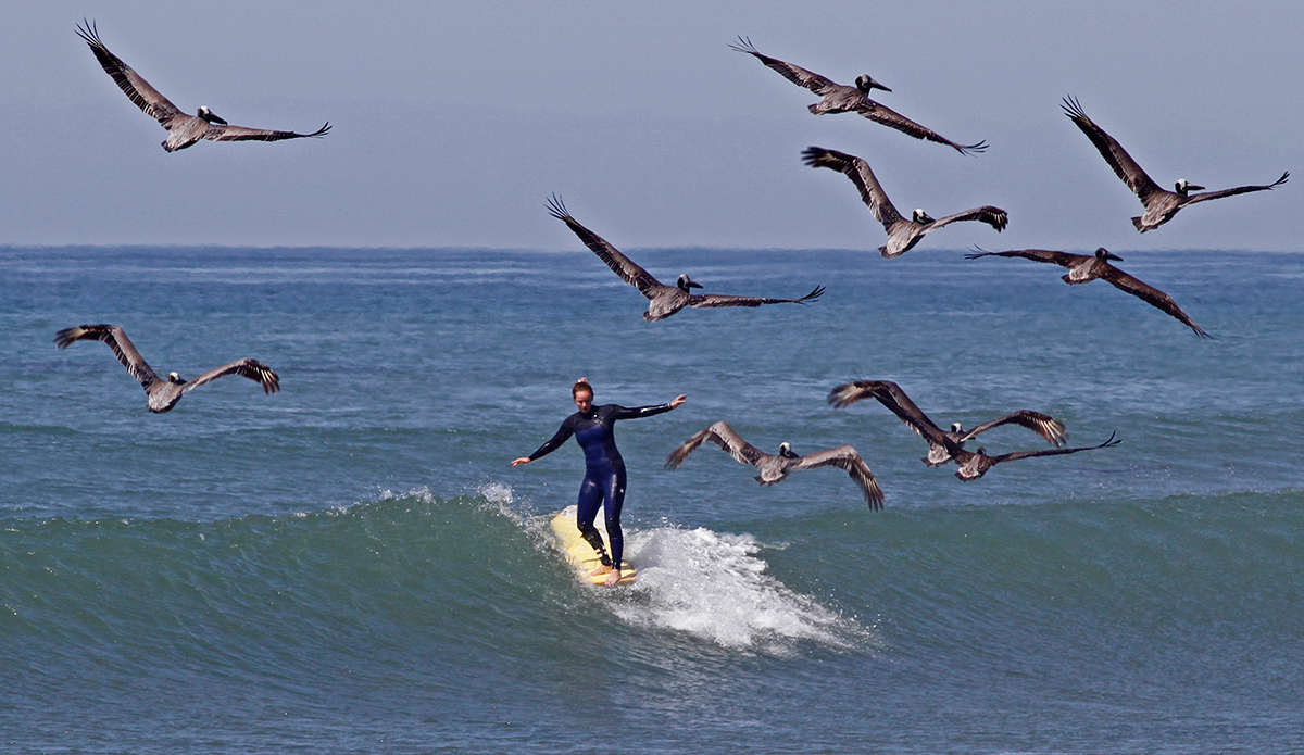 Photo: Laura Bañuelos // @sidrisima