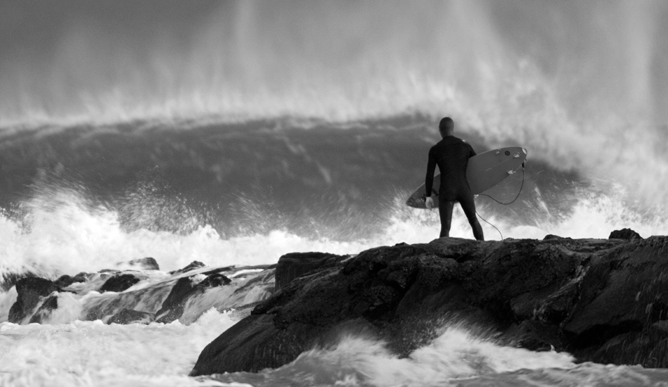 A very formidable opponent. Photo: <a href=\"https://jerseyshoreimages.com/about.html\">Robert Siliato</a>