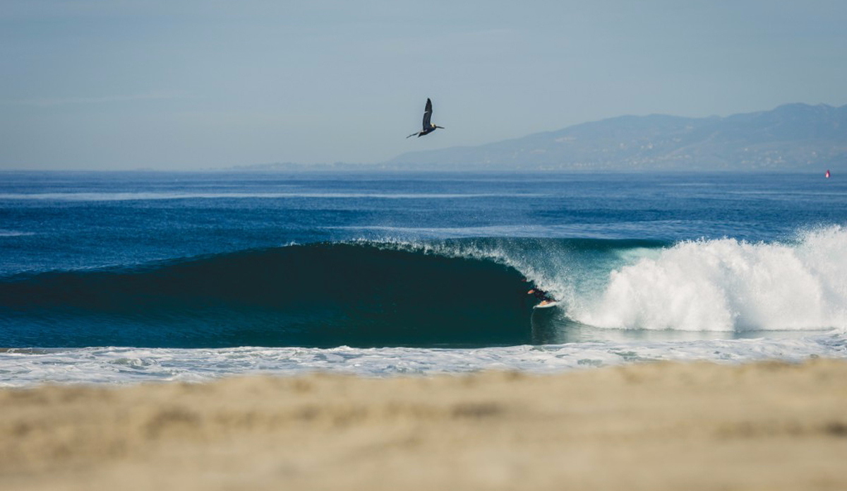 Kyle Brown. Photo: Cory Gehr