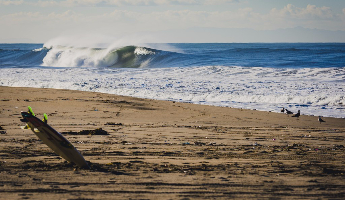 Yep. Photo: Cory Gehr